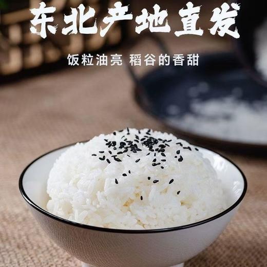 五常大米，原粮稻花香2号，口感好，香味浓，原产地直发 商品图7