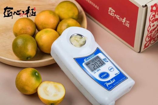 【会员43.5/斤】广西融安脆蜜金柑 特级大果 单果30g 独立包装 商品图2