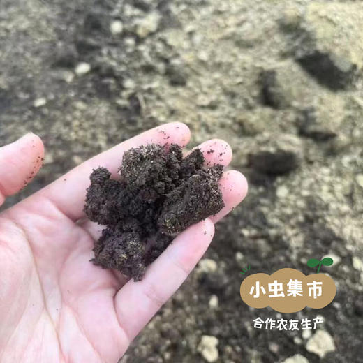 有机洛神花干 50g/袋 | 合作农友生产，来自广东清远，生产者：乐心、榛榛 *【公平贸易农人定价】 商品图13