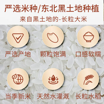 七河源长粒粳米50斤长粒香米25kg 家庭餐饮批发囤货一级粳米 2025年新米 商品图5