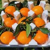 贵州安顺贵安【果冻橙38号爱媛果冻橙】25年新上市爆甜多汁可以吸的橙子 商品缩略图6