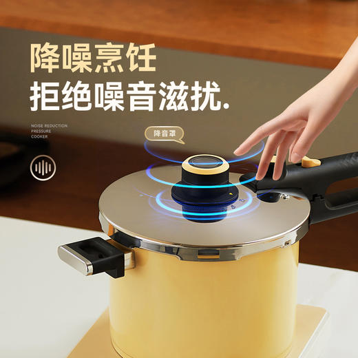 kimscook高压锅防爆大容量小型微压力锅煲炖汤家用燃气电磁炉通用 商品图4