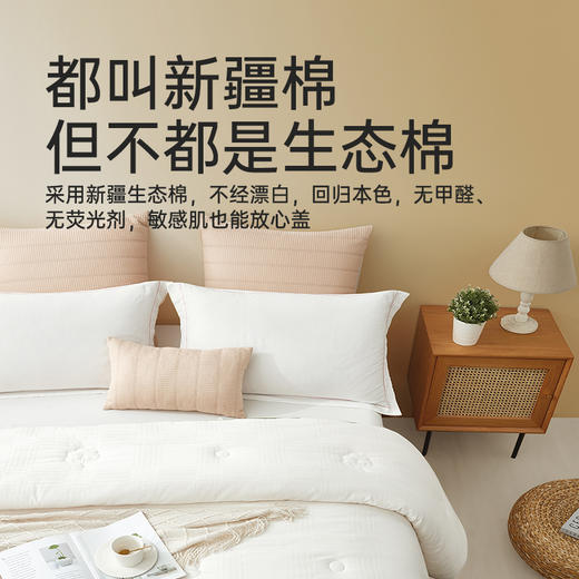 新疆生态棉花被 商品图3