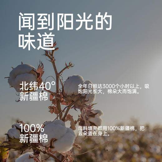 新疆生态棉花被 商品图2