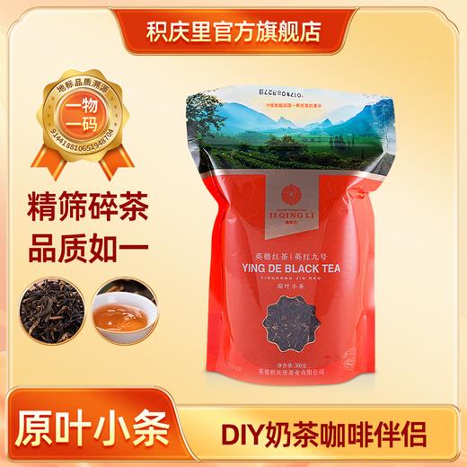 原叶小条 英红九号 茶叶 300g 商品图0