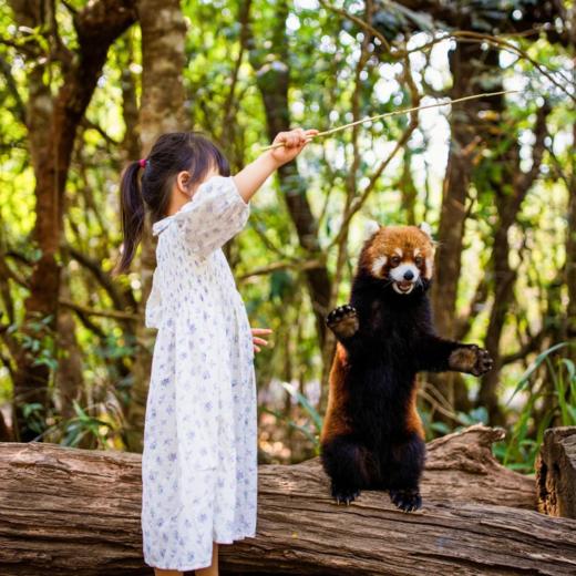 寒假亲子 | 版纳趣野自然探索营 5天4晚 商品图3