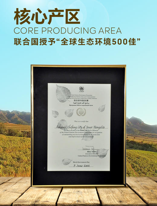 内蒙古敖汉有机小米 商品图3