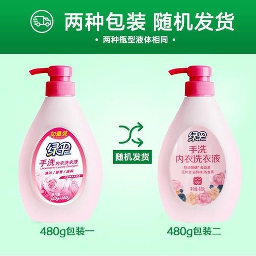 绿伞手洗内衣裤专用洗衣液480g男女通用内衣洗清洗液除菌 商品图6