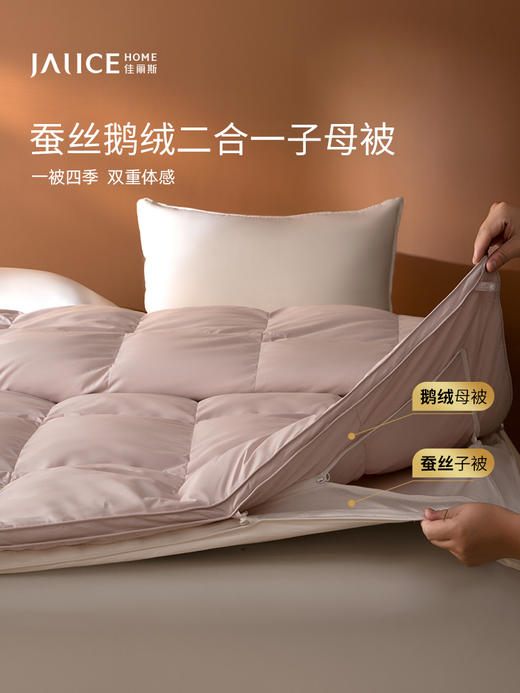 佳丽斯蚕丝羽绒子母被二合一拉链款冬被95白鹅绒被子被芯四季通用 商品图3
