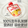 【主辅食】婴幼儿酸奶（红颜草莓蓝莓味/西梅香蕉味/清润本味）60g 商品缩略图2