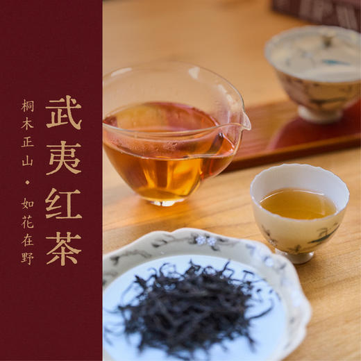 【11月新茶】2025武夷红茶 桐木正山 如花在野的水底香 100g(50gx2) 商品图0