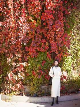 闪照第473期 季节的狂欢