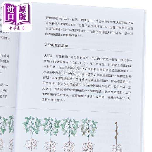 【中商原版】一豆一世界 从大豆历史 食品文化到现代经济科研 港台原版 林汉明 香港三联书店 商品图3