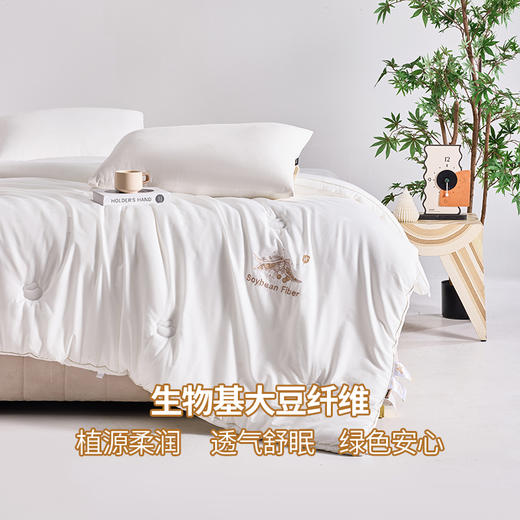 多喜爱 植蕴大豆亲肤被/加厚冬被/拉链子母被【大豆纤维】【全棉提花面料】【科学配比】【柔软舒适】多款厚度 精美绗缝 绣花&K线工艺 商品图1