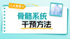 骨骼系统 商品缩略图0