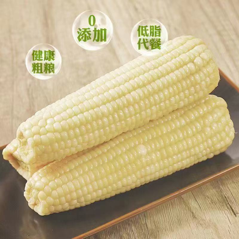 东北甜糯玉米   颗粒饱满，香味浓郁，甜而不腻