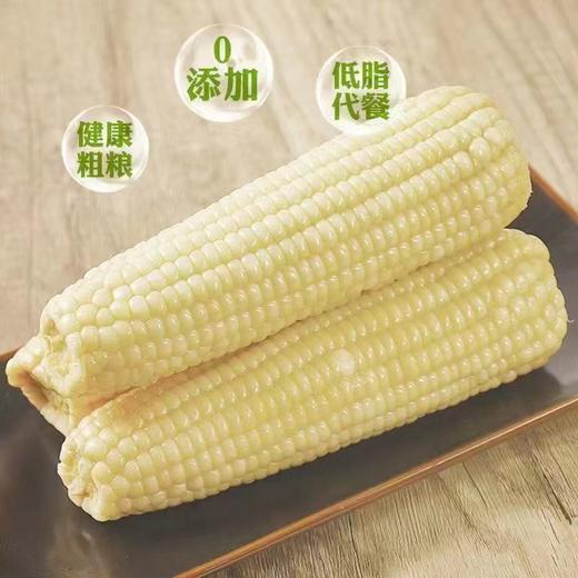 东北甜糯玉米   颗粒饱满，香味浓郁，甜而不腻 商品图0