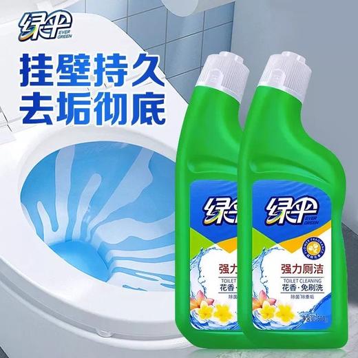 绿伞强力厕洁500g马桶清洁剂除臭去味高效清洁 商品图3