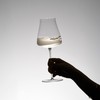1833纤影葡萄酒杯 RESONG日诵家居 高脚杯红酒杯 商品缩略图1