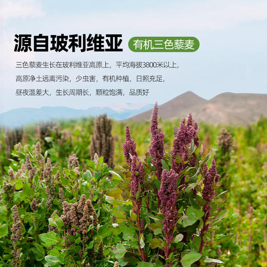食尚农场 有机三色藜麦1kg 商品图1