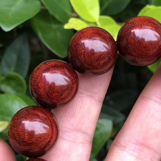 【青山特惠】1.8*13颗--5星料200度大龙鳞 小叶紫檀手串 商品图1