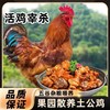 热卖中！！顺丰发货！【CCTV采访 真助农真品质】狼牙山农家散养生态珍禽（鸡鸭鹅）现宰现杀 商品缩略图1