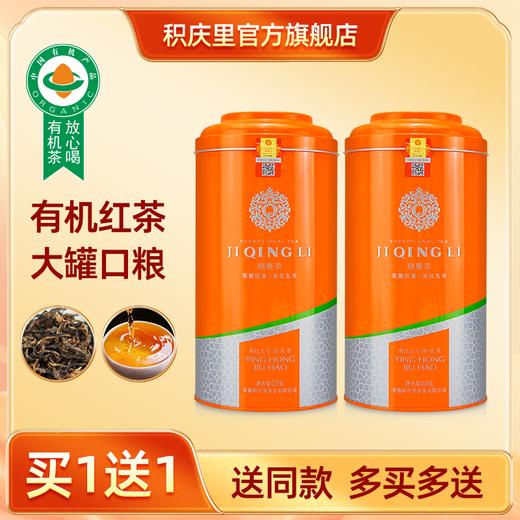 【买1送1同款】醇雅 英红九号 225g 商品图0