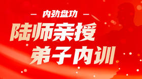典传2026年度陆师亲授弟子内训——内劲盘功（线下面授）