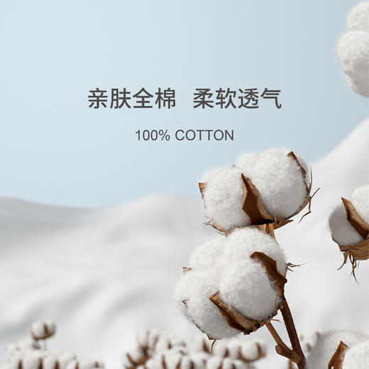 四季尊享鹅绒复合枕-HS 商品图2