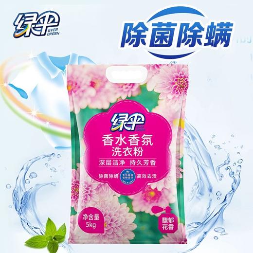 绿伞洗衣粉强效去污除菌除螨持久留香柔顺洁净 商品图5