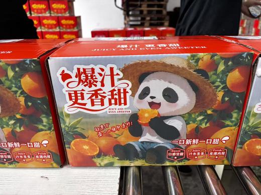 【顺丰快递】爱媛38果冻橙 可以吸着吃的果冻橙 一口爆汁 皮薄多汁 - BXLXG 商品图6