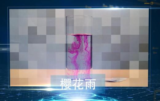 樱花雨 商品图0