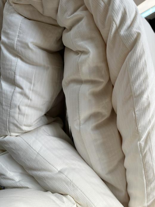 G649 纯原一波cozye@rth 6斤大豆棉棉被 商品图1