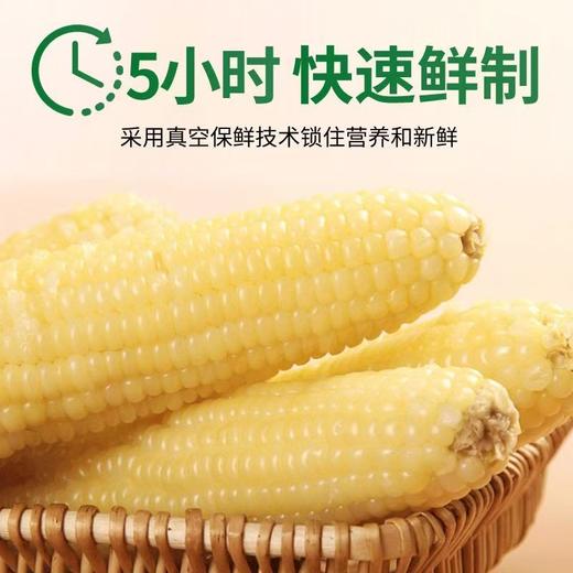 东北甜糯玉米   颗粒饱满，香味浓郁，甜而不腻 商品图2