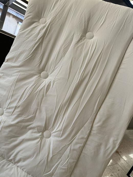 G649 纯原一波cozye@rth 6斤大豆棉棉被 商品图3