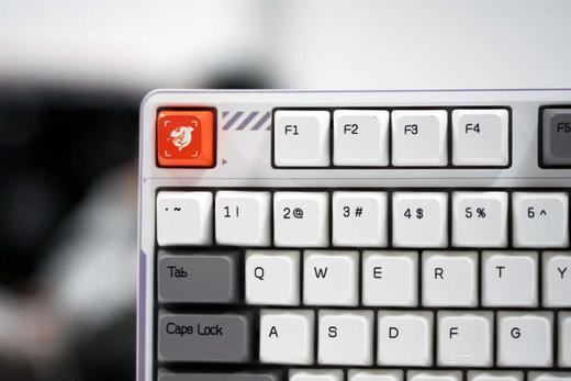 黑爵 DKW400无线机械键盘三模87键热插 拔RGB客制化游戏电竞办公 商品图2