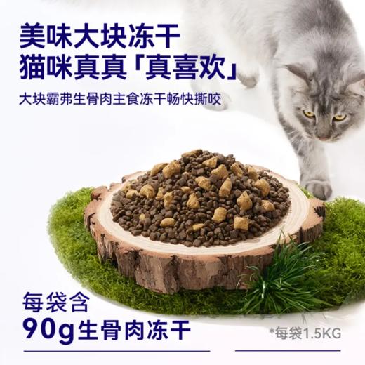 霸弗天然粮2.0升级款1.5kg 商品图3