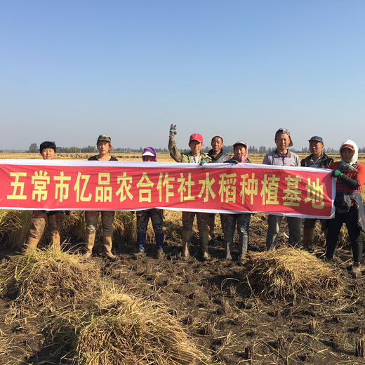 五常大米，原粮稻花香2号，口感好，香味浓，原产地直发 商品图6