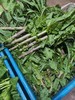 莴笋（500g）红/白莴笋，新上来的莴笋有点细但很香哦~ 商品缩略图1