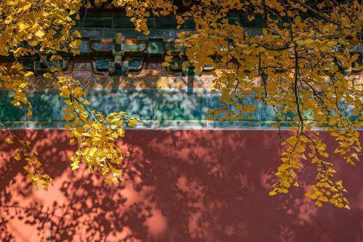 11.26确定出发【秋摄•枫林江浙】莫干山•八都岕•天平山•留園•濮院六天 商品图5