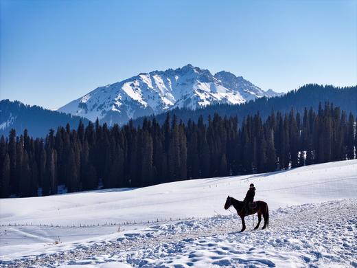 伊犁冬韵 | 雪原森林木屋 新疆赛里木湖 越野车轻旅拍小团 7日 商品图9