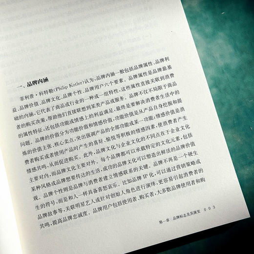 品牌标志创制与传播 俞海滨 高等学校艺术设计 市场营销 品牌管理专业教材 商品图8