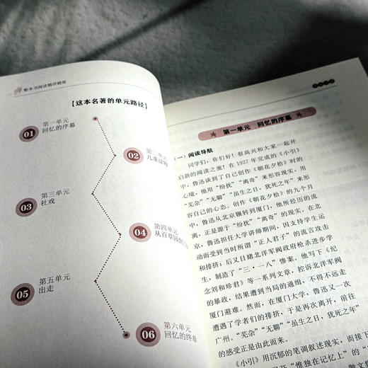 整本书阅读精讲精练 朝花夕拾 名著导读 初中高中部编版教材核心书目 商品图11