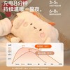 【热水袋充电防爆】可爱毛绒暖水袋 女生宿舍用暖手宝 暖宝宝敷肚子热敷 商品缩略图2