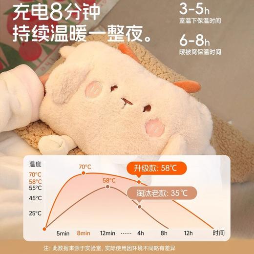 【热水袋充电防爆】可爱毛绒暖水袋 女生宿舍用暖手宝 暖宝宝敷肚子热敷 商品图2