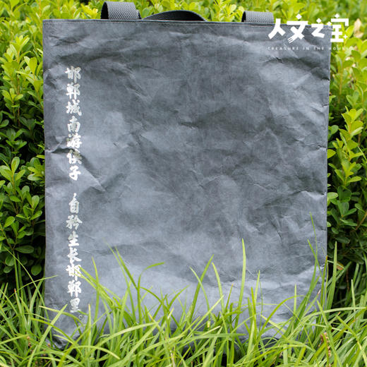 【人文之宝】邯郸礼物·邯郸少年行杜邦纸包 商品图2