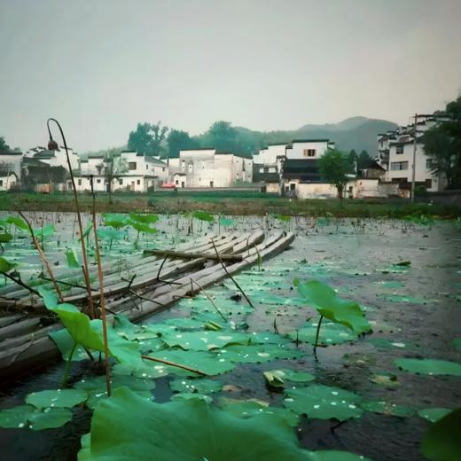 2晚/4晚【婺源 | 墅家·墨娑西冲院】百年徽宅焕新，归隐徽州寻梦~ 撑筏采莲、手编竹篾、漫步古村，感受徽州文化~ 商品图7