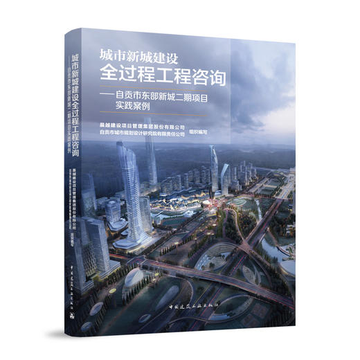 城市新城建设全过程工程咨询——自贡市东部新城二期项目实践案例 商品图0