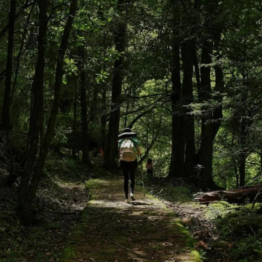 2晚【怒江墅家罗古箐】2026春节、五一可用！在雪山峡谷间徒步，解锁普米秘境~峡谷徒步、篝火打跳、村落漫游~ 商品图11