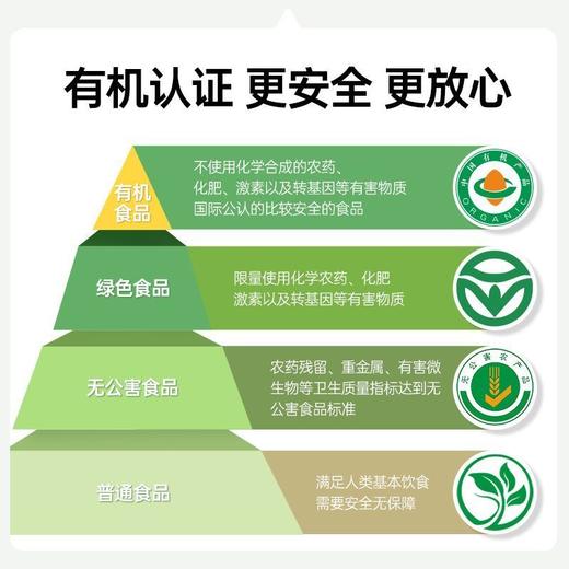 福东海有机黄金熟亚麻籽 300g 商品图4